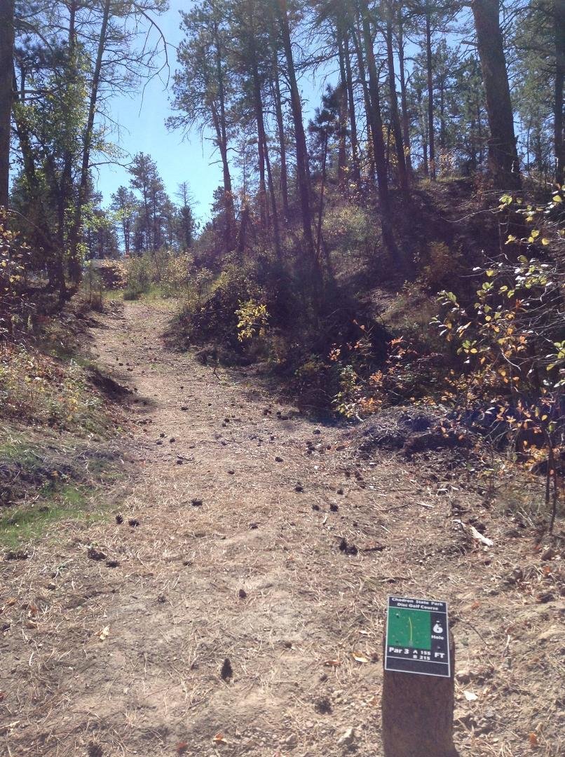 Hole #6 tee- poison ivy everywhere and up hill, I skipped this one.