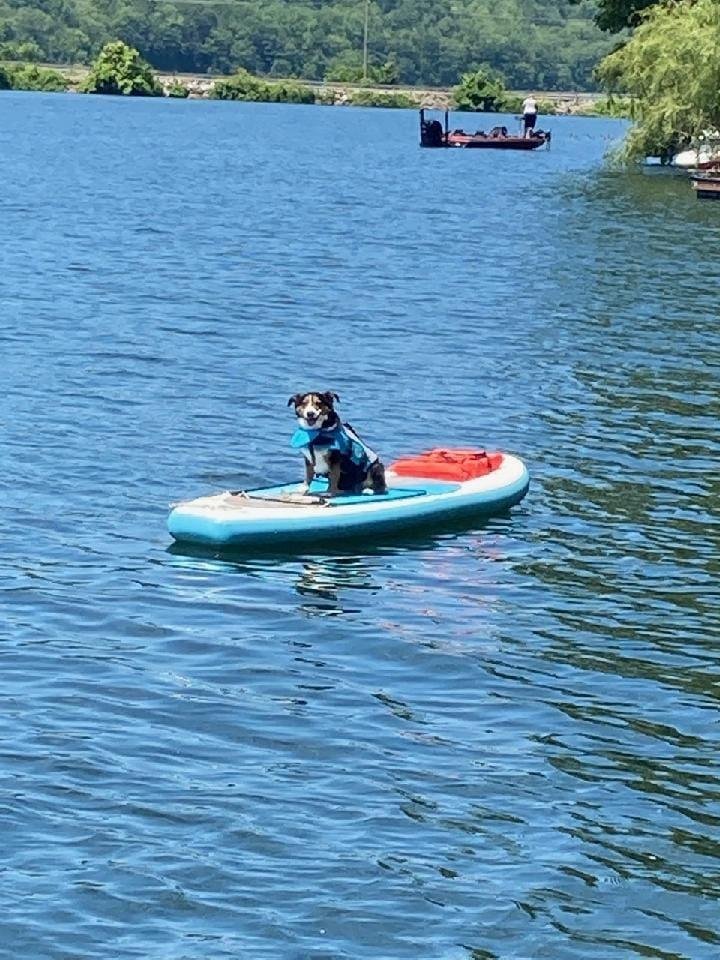 Wonderful Father's Day on the lake.  Sharon made amazing food and all my kids were here. I even got Tyler to try stand up paddle boarding.