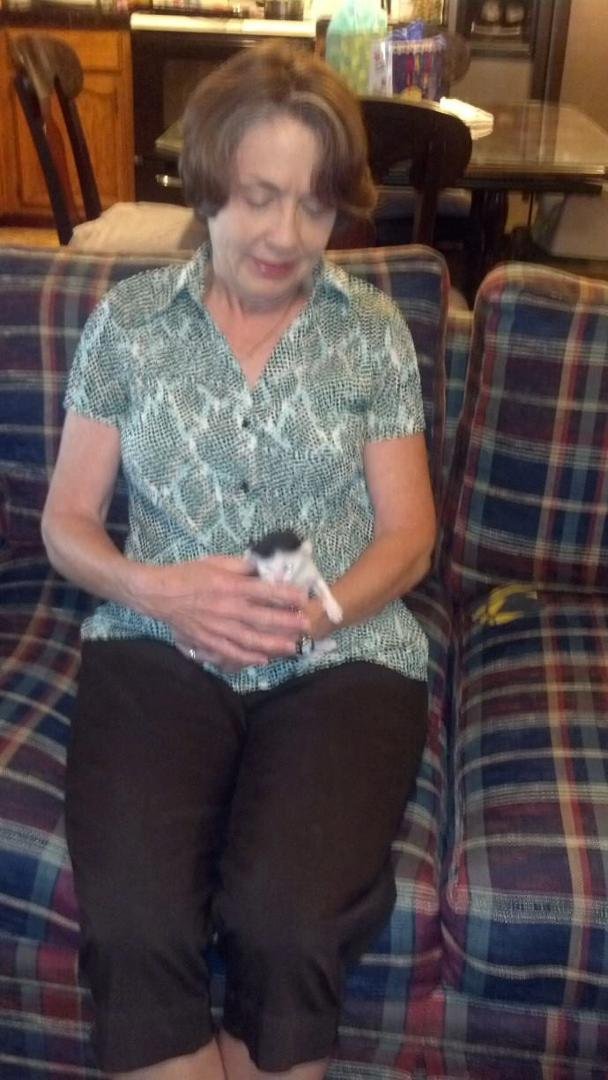 Teresa with grandkitten.