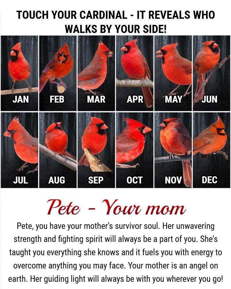 Touch Your Cardinal - It Reveals Who Walks By Your Side!