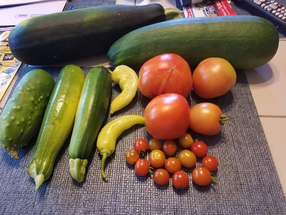 Today's harvest, it wiped me out to damn hot! The 2 zucchini in the back got away from us they were hidden..the one on the right 2.83 lbs the one on the left 2.15 lbs whoppers.