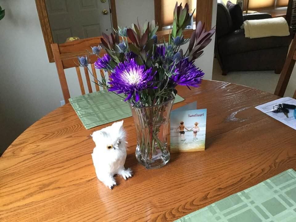 My wonderful husband (my heart ❤️) gave these to me. They are purple, the color of our angels