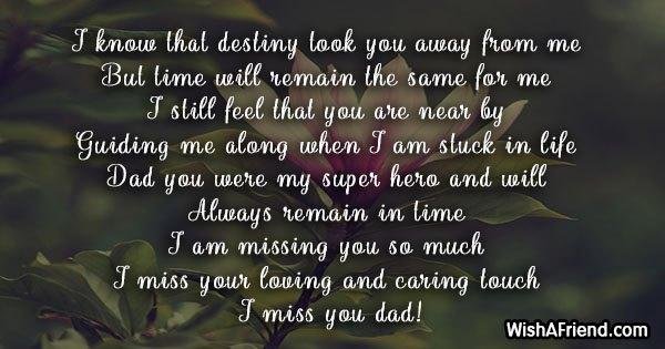 Pam Koch's album, Timeline Photos