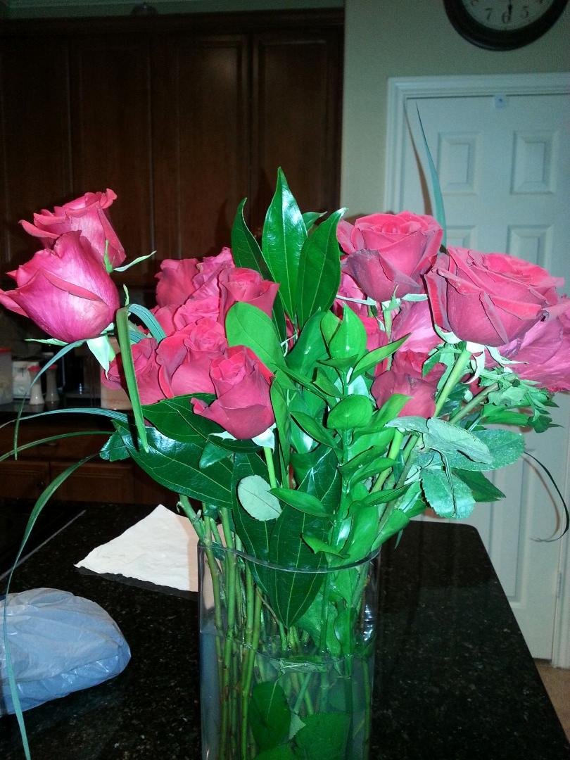 Roses from my family to many but I love them.lol