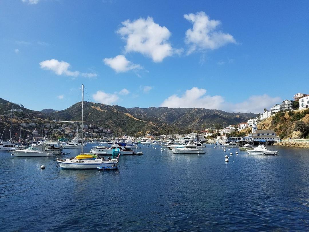 Looks a lot like the Mediterranean