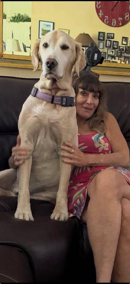 Our dear friend Joan Schwartz from LA here on her annual visit holding court with Rocky standing at attention #rockycavallo