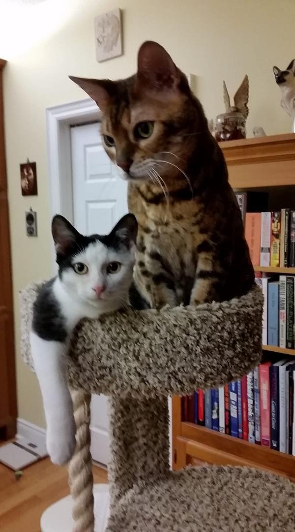 During a calm moment...