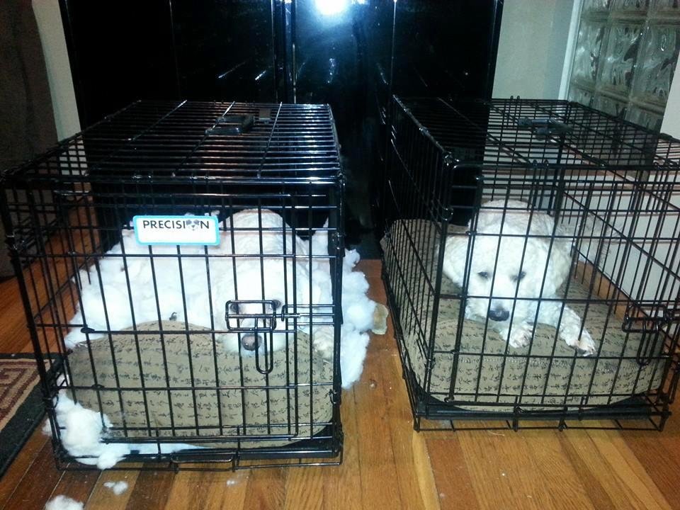 Wheres waffles?