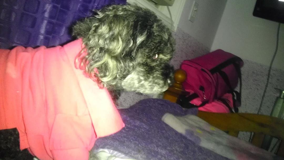 My boo boo bear.