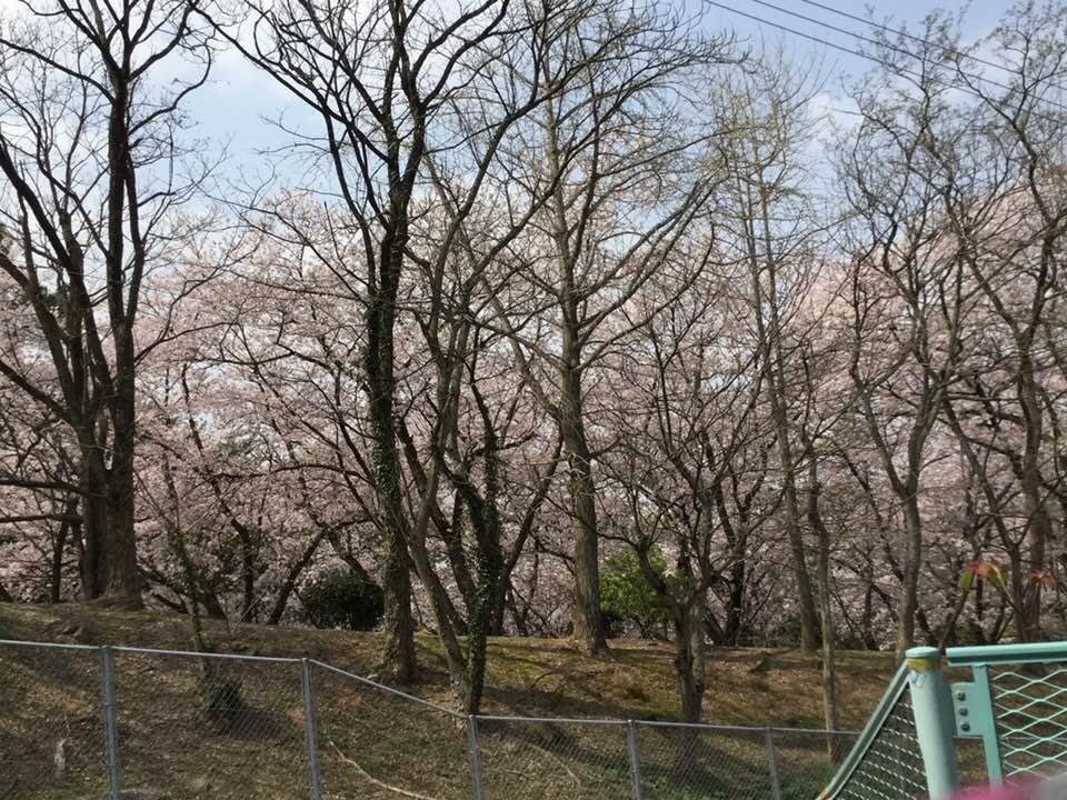 Beverly Kawabe's album, Timeline Photos