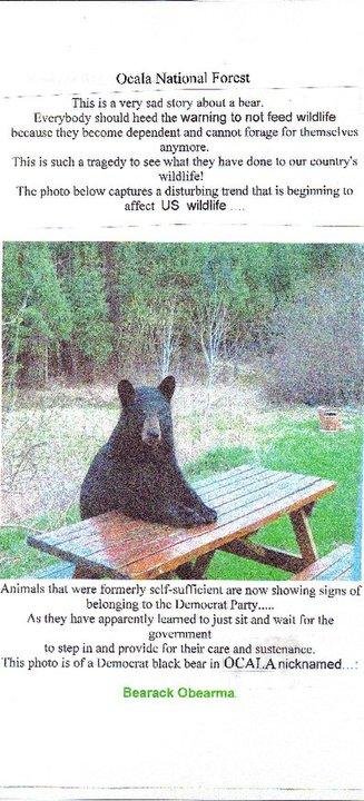 Lots of Bears around here!