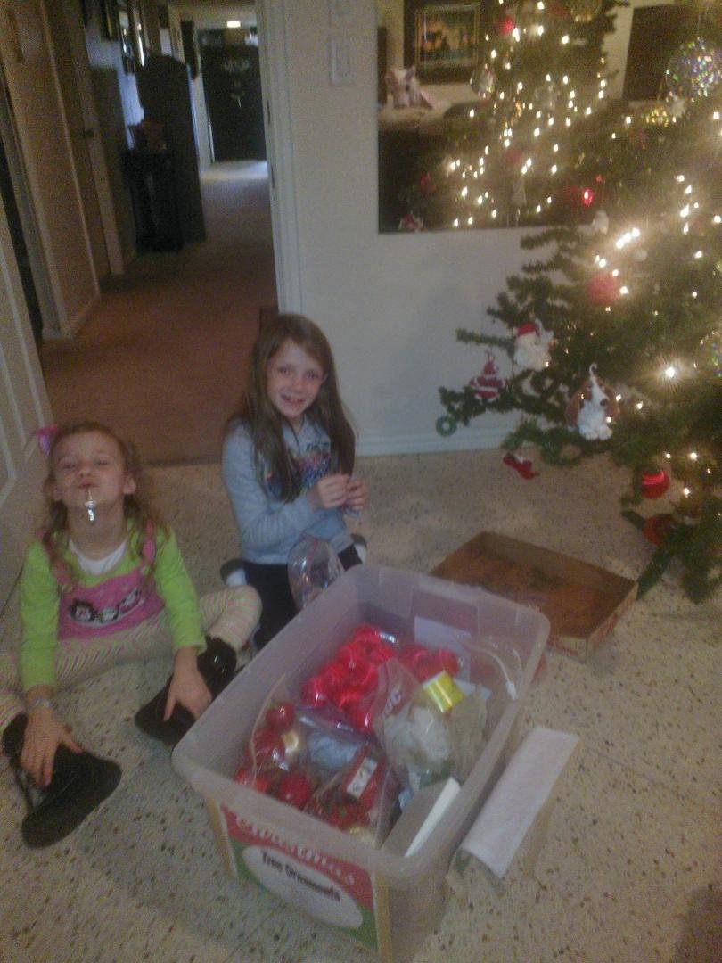 Our very own personal tree designers!