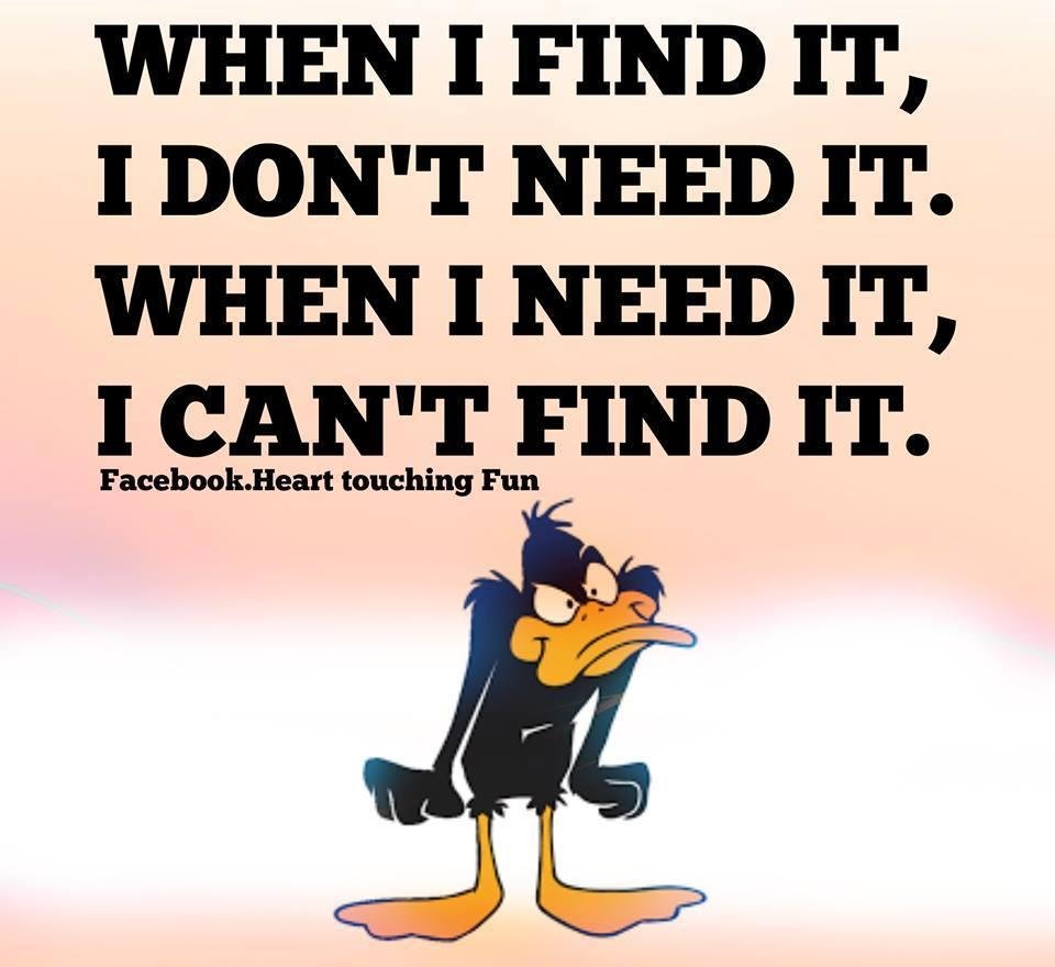 The story of my life. Rinse and repeat.