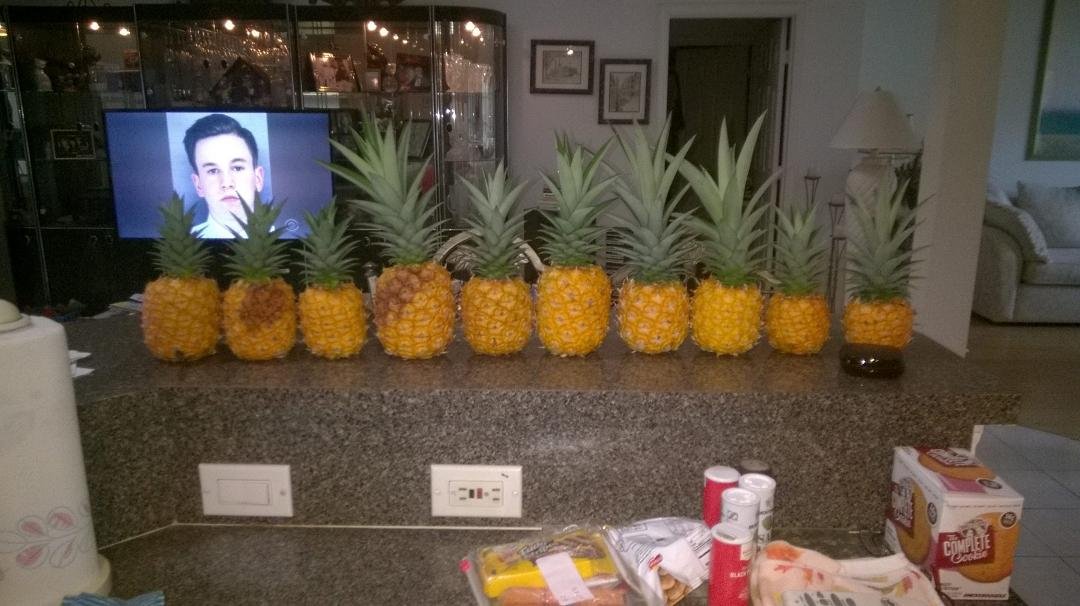 Worked in the pineapple 🍍 field today😁😎 🍍 🍍 🍍 🍍