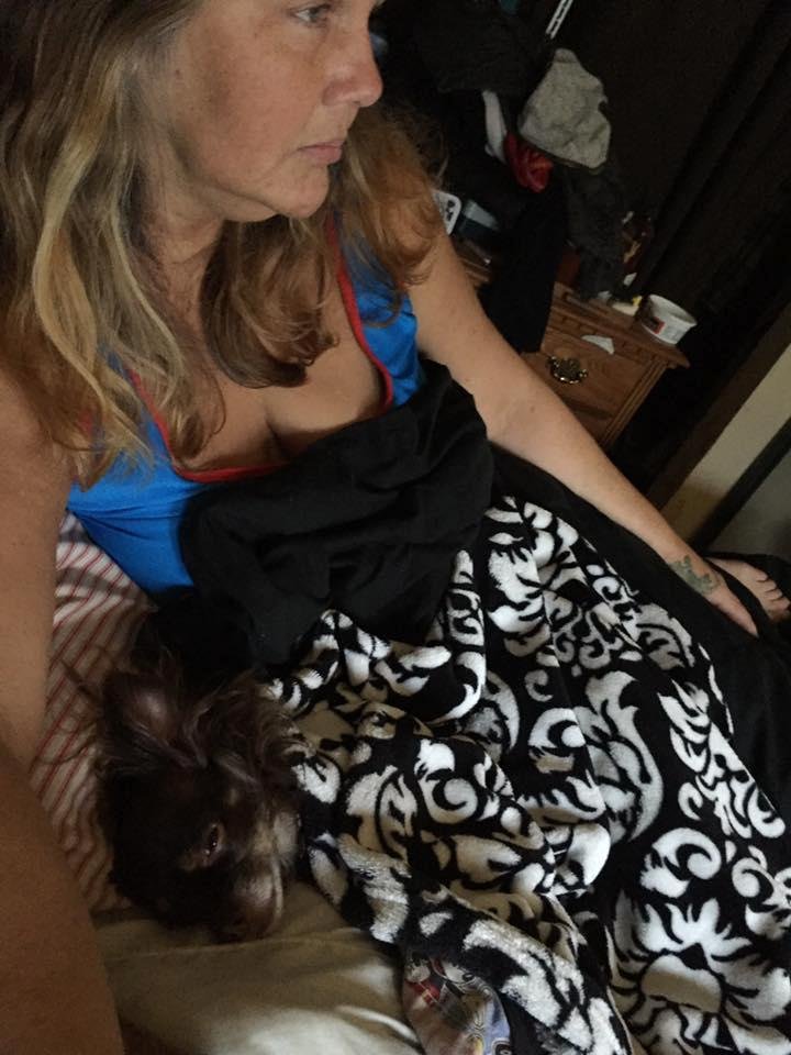 Opus all snugly and happy with Kimberly. 😍