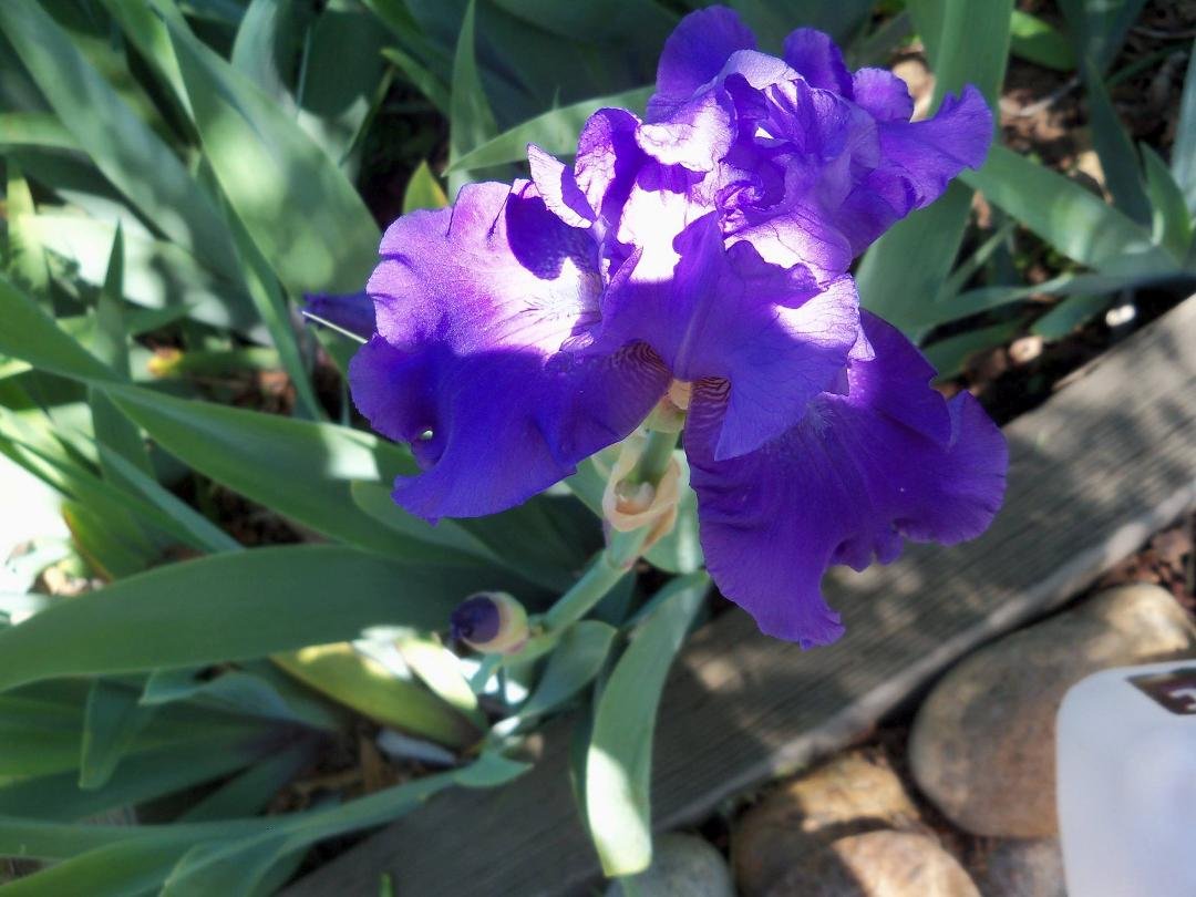 Melissa Terrell's album, Timeline Photos