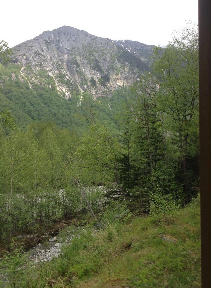 Joan Milsted's album, Cruise to alaska may 2014