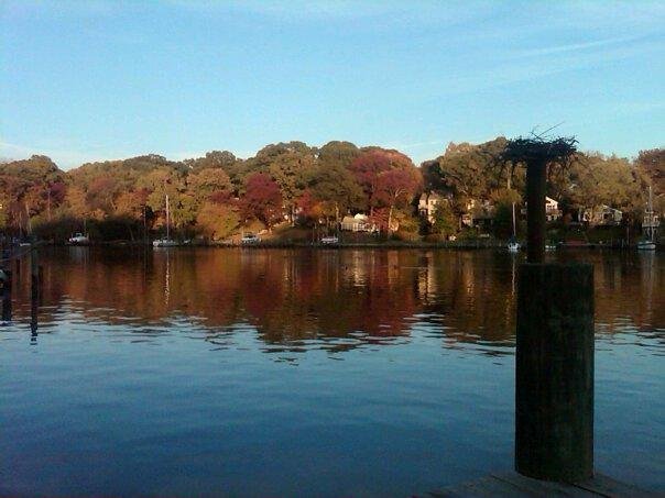 Early autumn on the Magothy