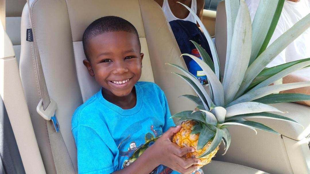 My Grandson,Tyler with a fresh pineapple from Jean Jean's Farm.