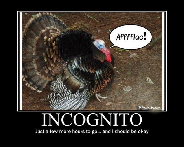 Happy Thanksgiving Everyone!