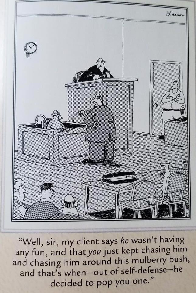 Some of the simplest things just make me laugh!!🤪