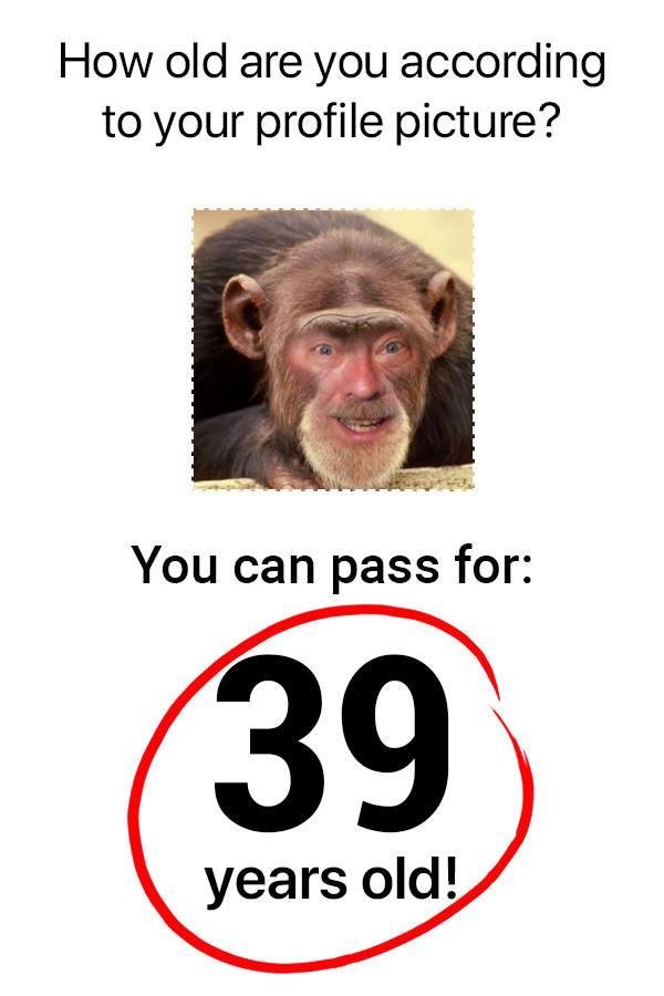 IN CHIMP YEARS