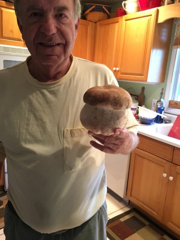 Mushroom that Joe found out in the back forty