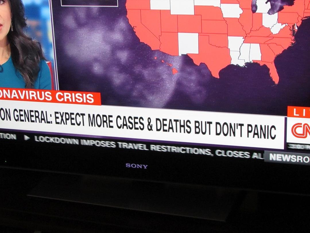 Hm.  Don't panic.  Sounds like "The Hitchhiker's Guide to the Galaxy."  Be sure to bring a towel.