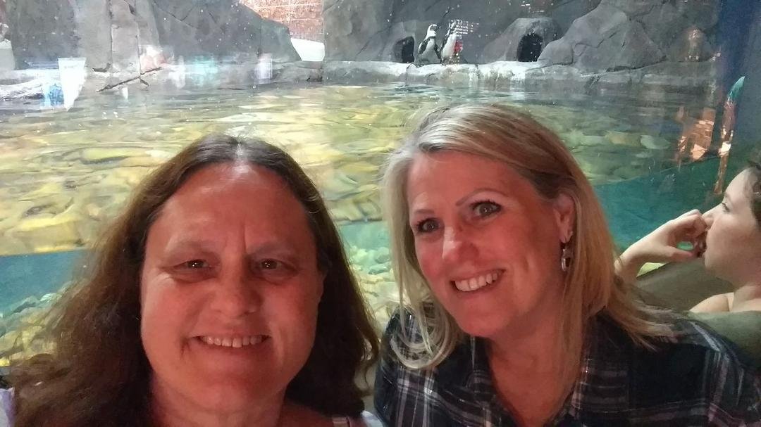 Just another day at the Aquarium