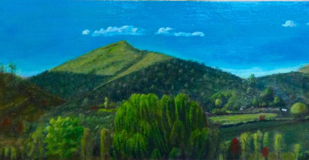 Doing some different stuff now-landscapes. Back to basics, but still doing abstracts too. This is a scene near Burnsvlle NC.