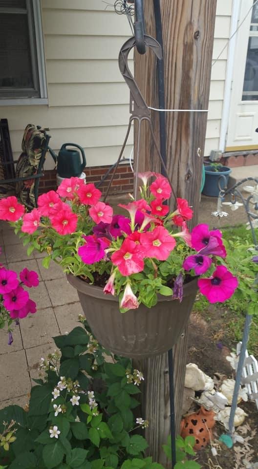 Deborah Christensen's album, Timeline Photos