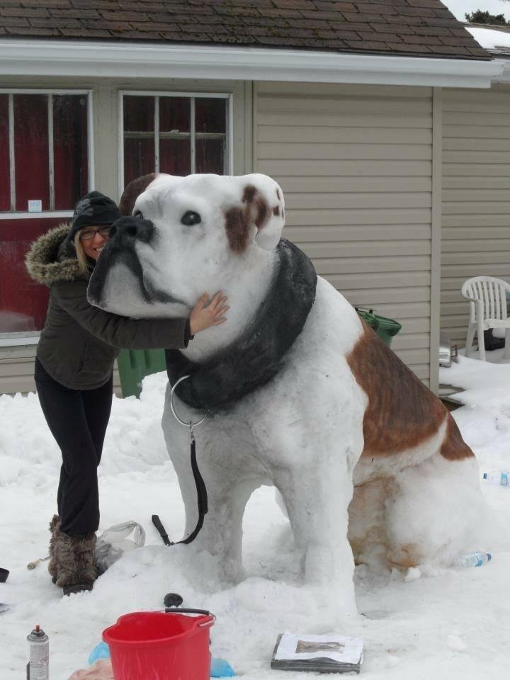 Lexa, Wanna build one tomorrow???? LOL