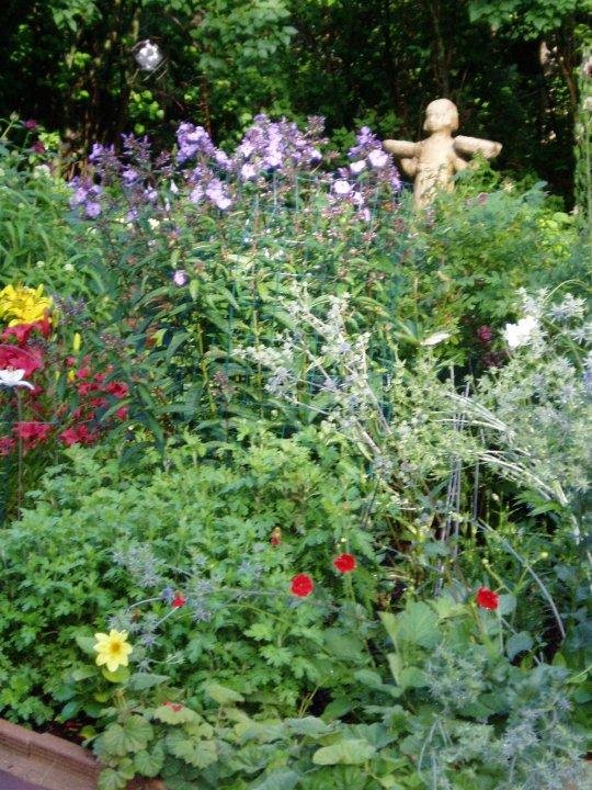 Rosemary Capocci's album, Gardens 2009