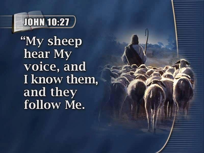 Wishing all my facebook friends a Holy and blessed Lent. May you draw closer to the Shepherd during this Holy season. Amen.