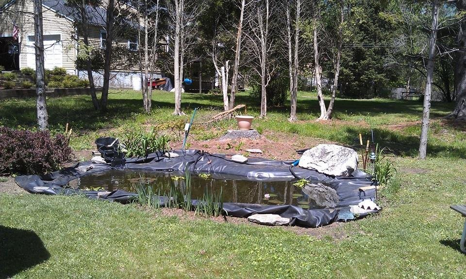 The fish pond is up and running. Now for some final touches that we need to complete. Got the fish and some more water plants. The rest will have to wait for now.