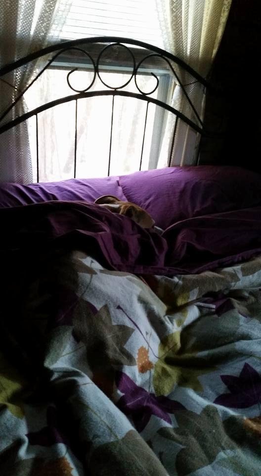 Dawn Cotton's album, Mobile Uploads