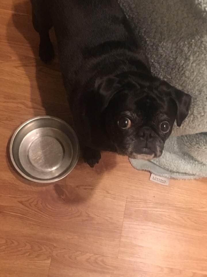 “I know you see this empty bowl woman! Don’t you walk past me!” ~ Zeus
