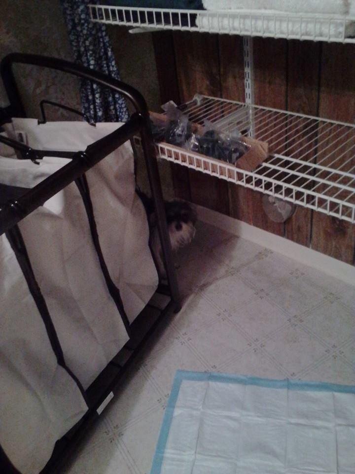 He's trying all sides ...haha