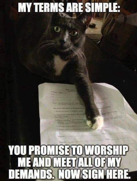 Sharon Soderholm's album, Timeline Photos