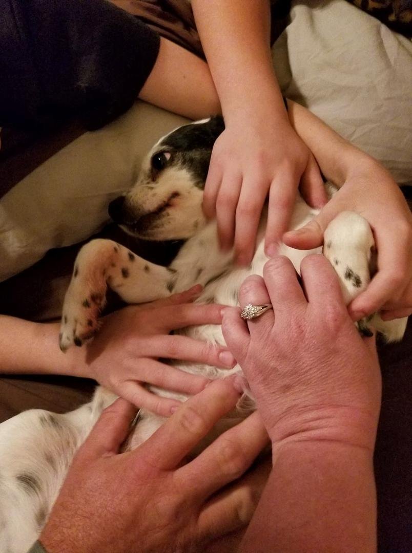 She is so loved! ~Alley 7 years old.