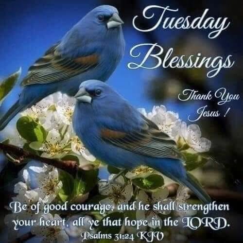 Laura Jones' album, Timeline photos
