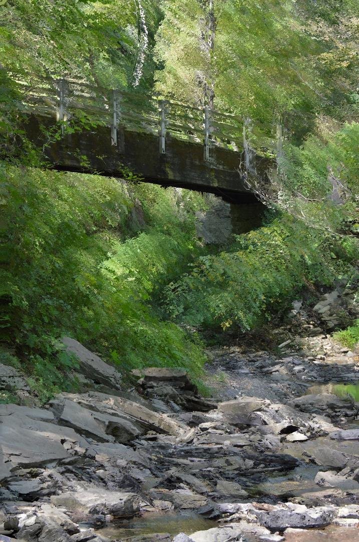 One of my oil painting impressions--Sharon Woods, taken on a hike with friend Jessie.