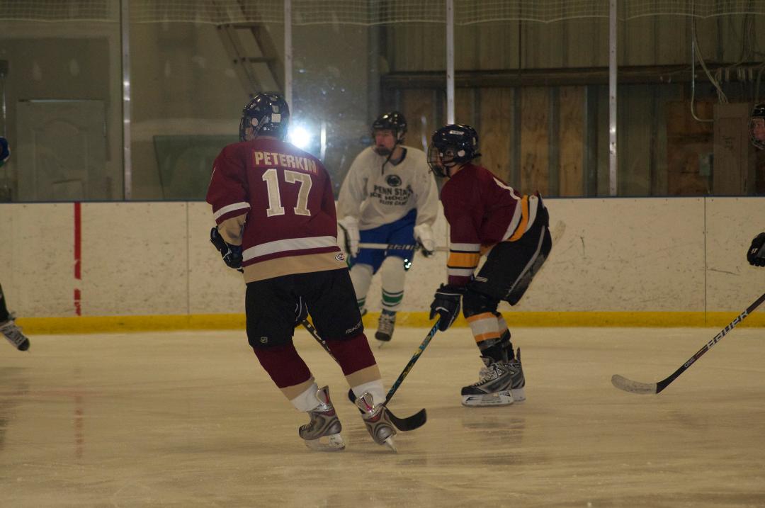 Beverly Riemann's album, HOCKEY GAME - OAKTON/GMHS GOLD