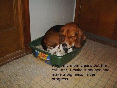Patsy Miessler's album, Timeline Photos