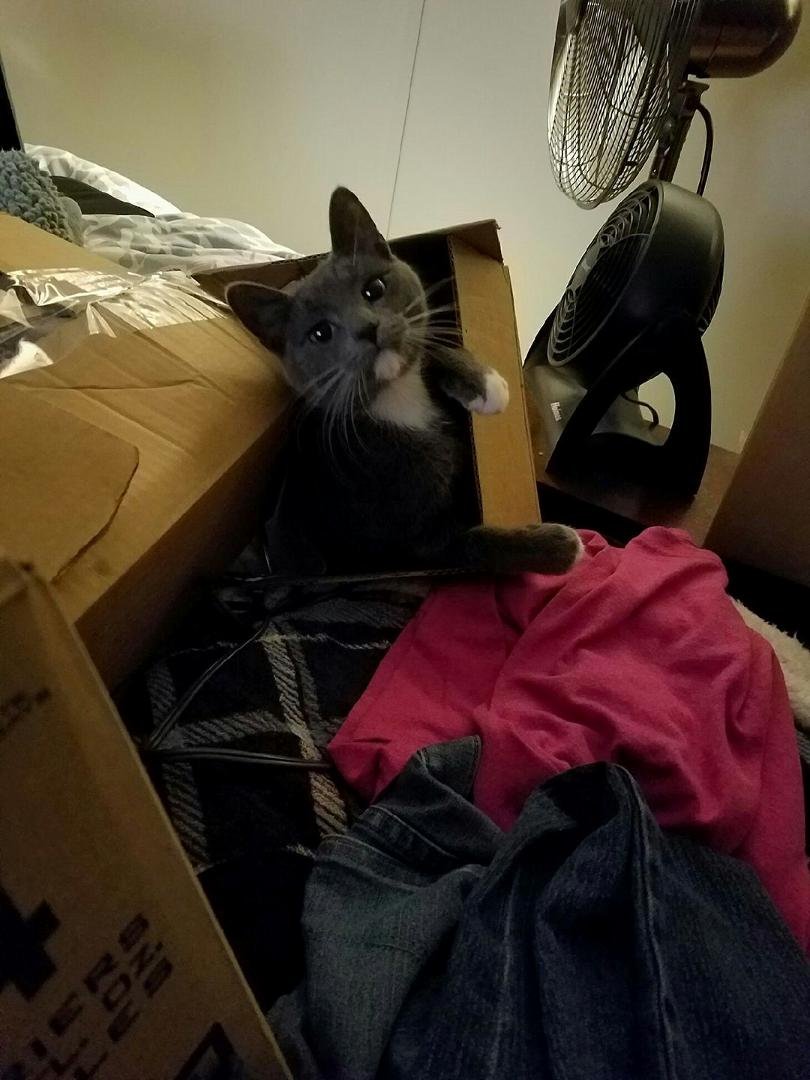 "What, you need this box?"