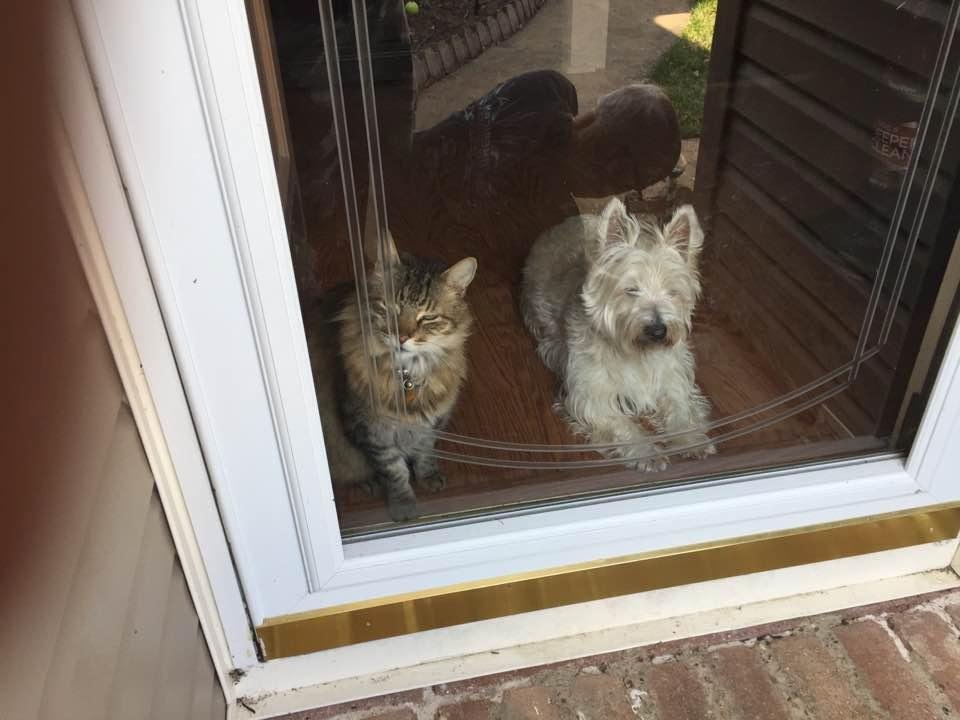 Watching dad work