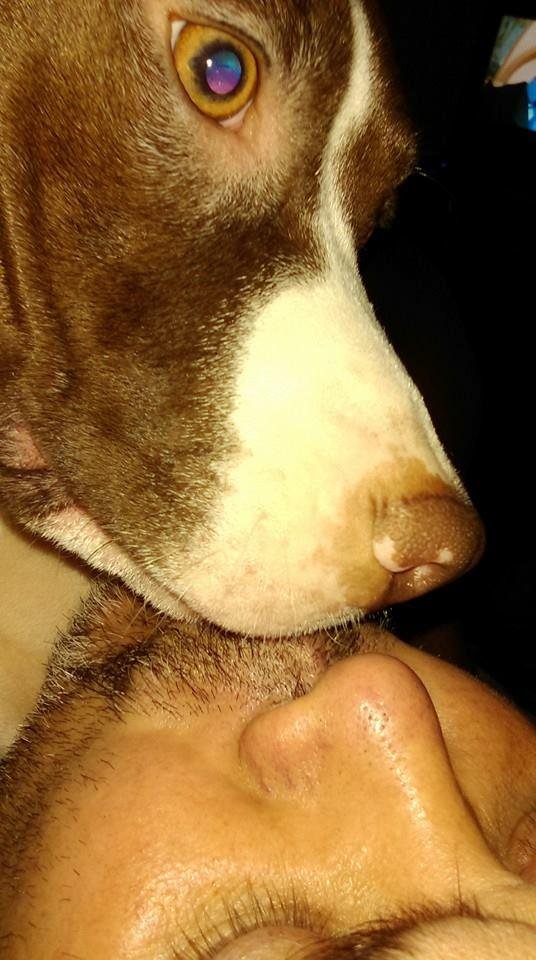 Sally kissing henry