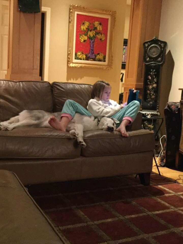 Part dog,part girl