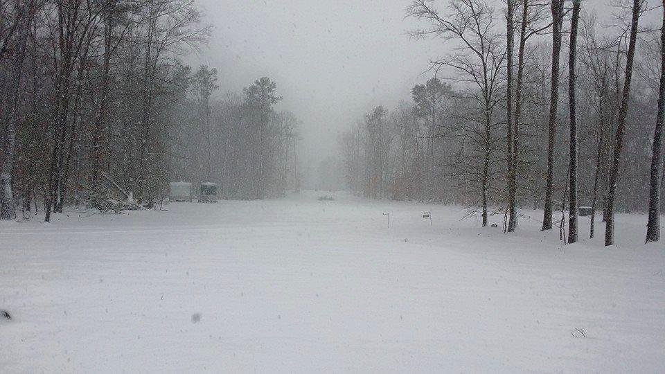 Snow storm from front porch looking towards road.