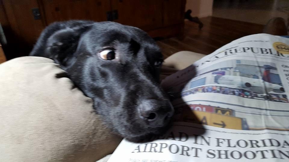 Just checking to see what you are reading!